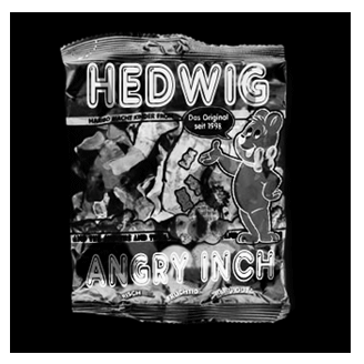Hedwig and the Angry Inch Mini Promo 1